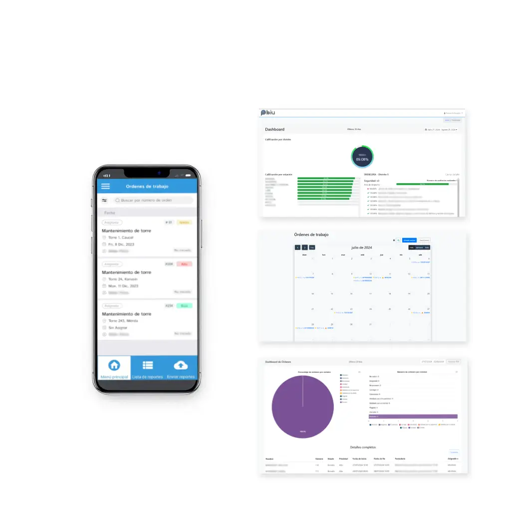 BIU Audit App